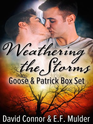 cover image of Weathering the Storms Box Set